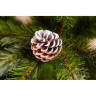 Новогодняя елка TRIUMPH TREE, Императрица, с шишками, 90 см, в мешочке, заснеженная 73810